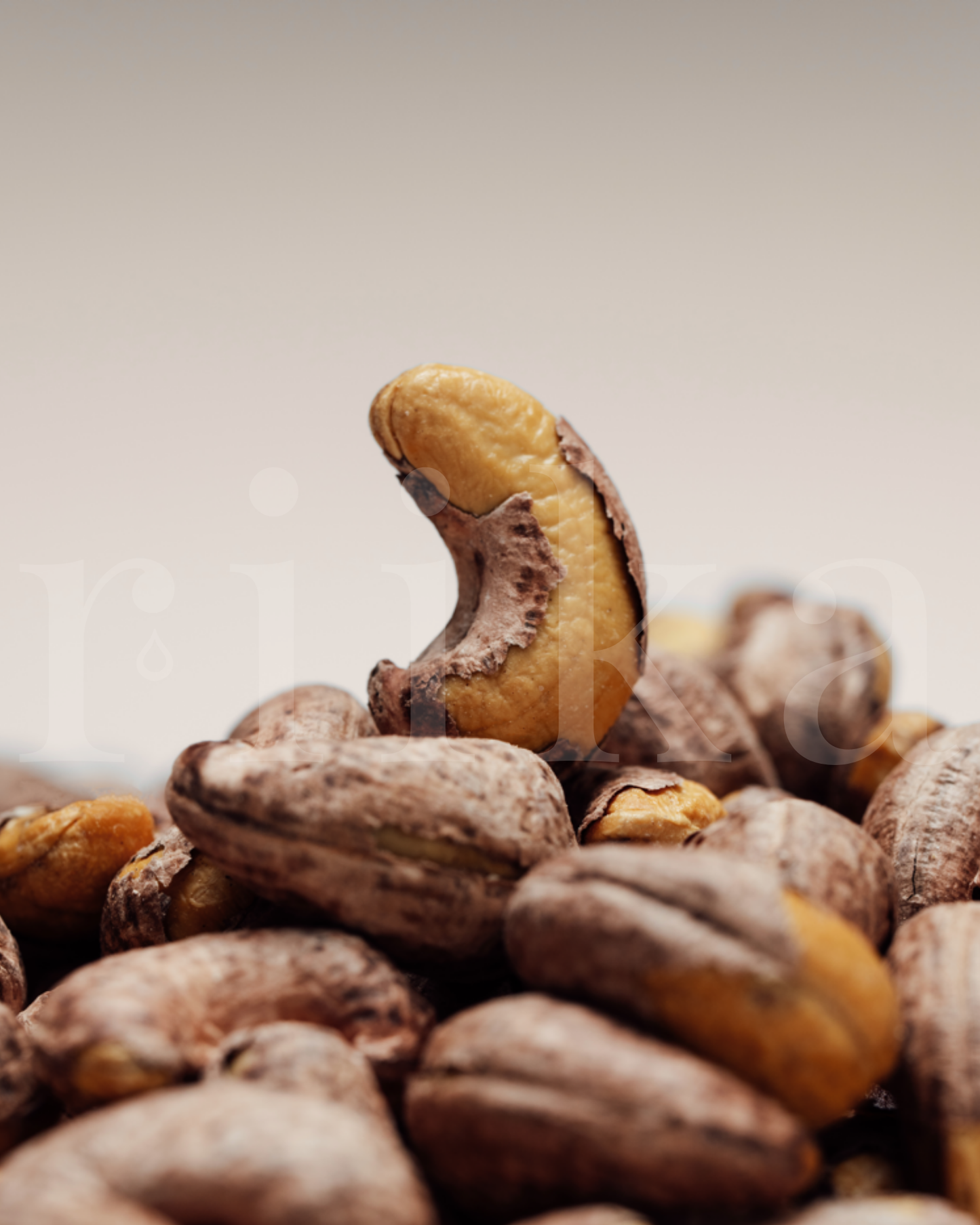 天匠腰果｜Mastercrafted Cashew<br>精品腰果